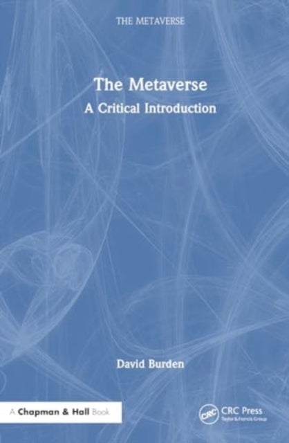 The Metaverse - A Critical Introduction