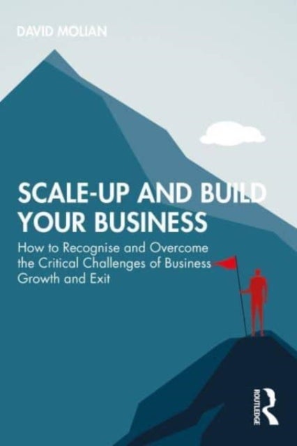 Scale-up and Build Your Business - How to Recognise and Overcome the Critical Challenges of Business Growth and Exit