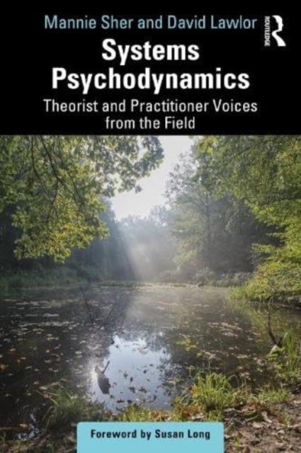 Systems Psychodynamics - Theorist and Practitioner Voices from the Field