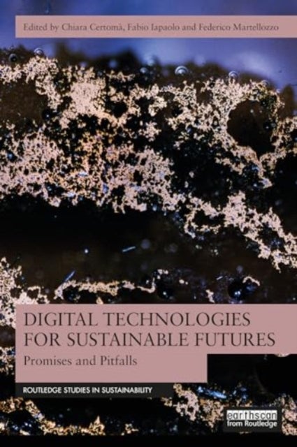 Digital Technologies for Sustainable Futures