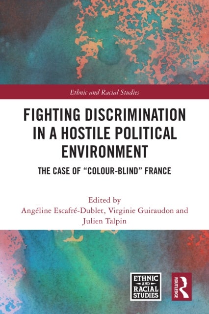 Fighting Discrimination in a Hostile Political Environment - The Case of ¿Colour-Blind¿ France