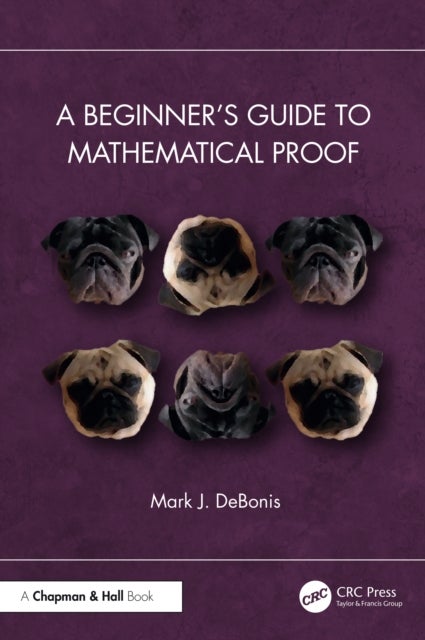 A Beginner¿s Guide to Mathematical Proof