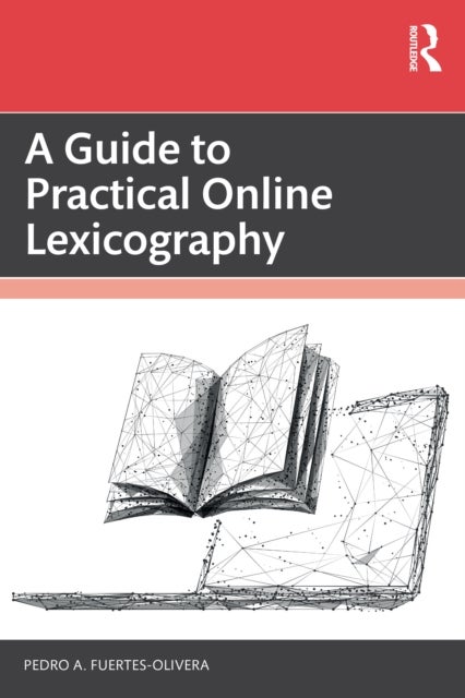A Guide to Practical Online Lexicography