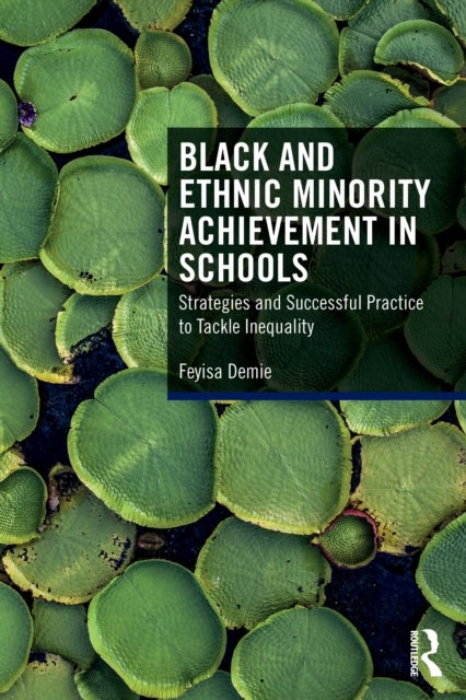 Black and Ethnic Minority Achievement in Schools - Strategies and Successful Practice to Tackle Inequality