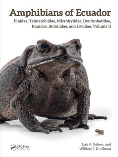Amphibians of Ecuador - Pipidae, Telmatobiidae, Microhylidae, Dendrobatidae, Ranidae, Bufonidae, and Hylidae, Volume II