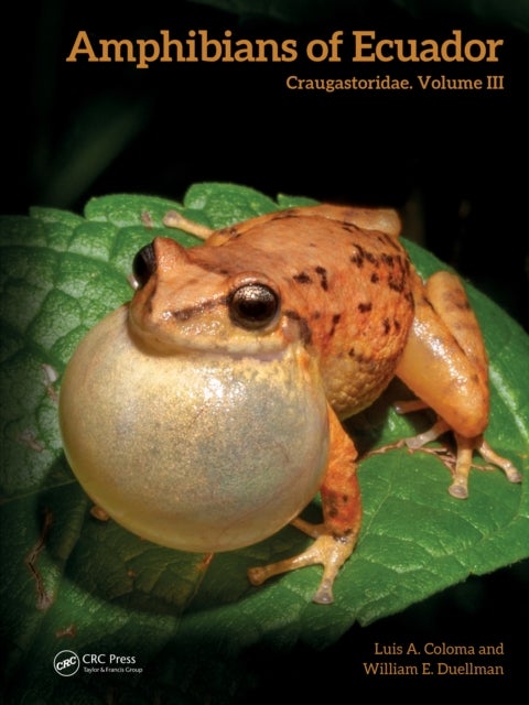 Amphibians of Ecuador - Craugastoridae