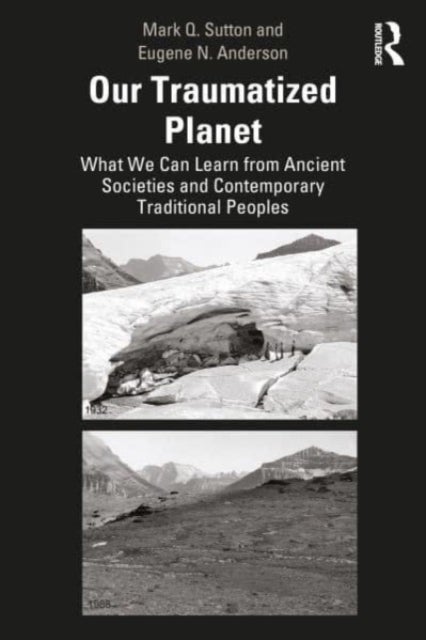 Our Traumatized Planet - A Stark Perspective on the Earth¿s Environmental Crises