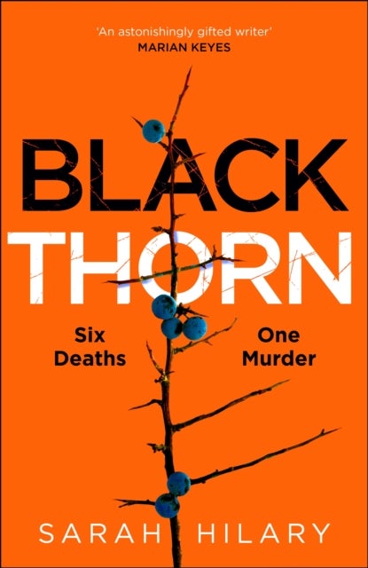 Black Thorn - A haunting and captivating multi-layered thriller about families and their secrets and lies