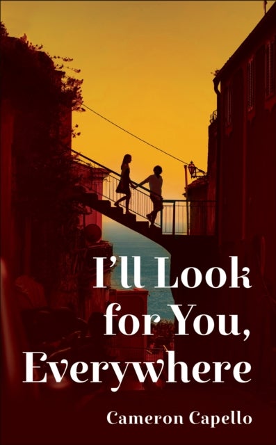 I'll Look for You, Everywhere - the highly anticipated and mesmerizing debut romance novel of summer 2024