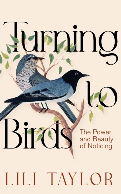 Turning to Birds - The Power and Beauty of Noticing
