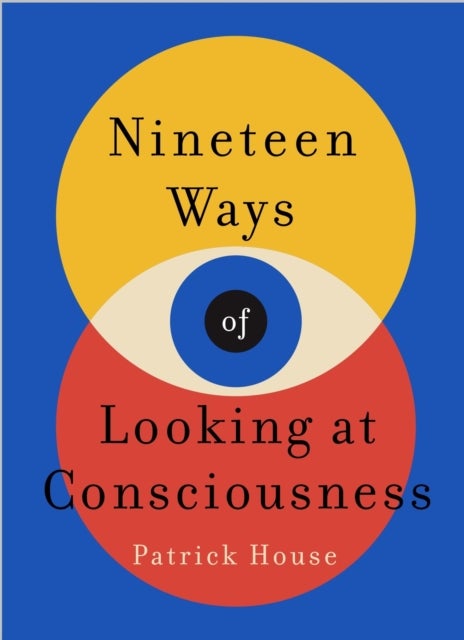 Nineteen Ways of Looking at Consciousness - Our leading theories of how your brain really works