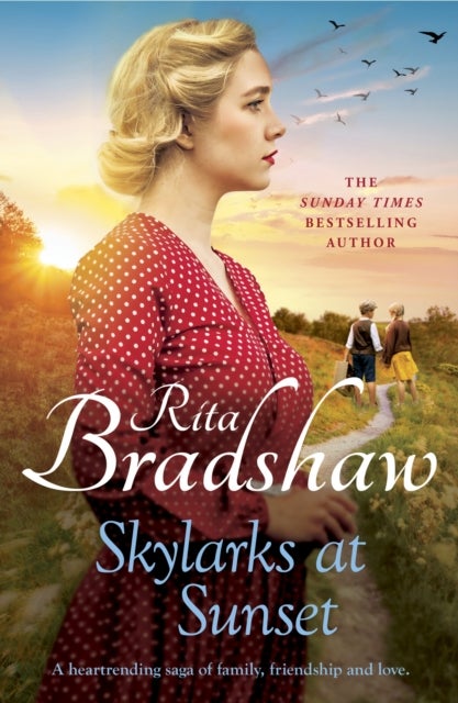 Skylarks At Sunset - An unforgettable saga of love, family and hope