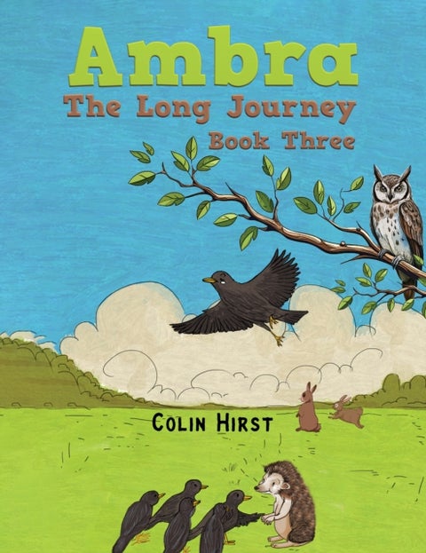 Ambra: The Long Journey - Book Three