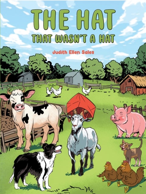 The Hat That Wasn¿t a Hat