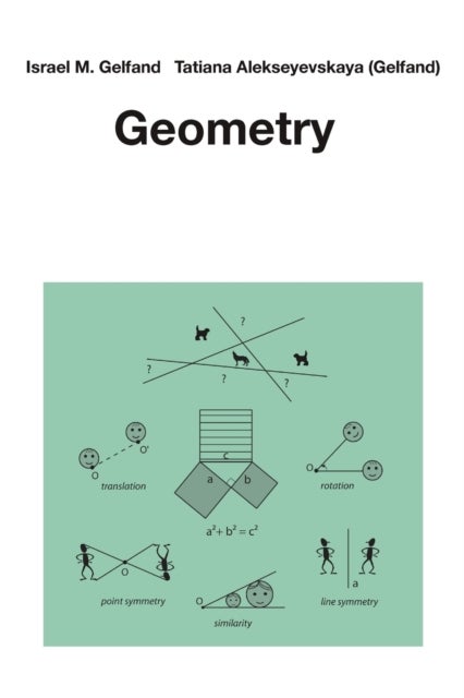 Bilde av Geometry Av Israel M. Gelfand, Tatiana Alekseyevskaya (gelfand)
