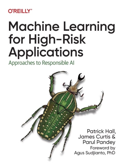 Bilde av Machine Learning For High-risk Applications Av Patrick Hall, James Curtis, Parul Pandey