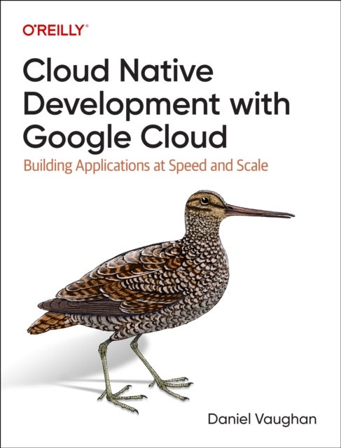 Bilde av Programming Cloud Native Applications With Google Cloud Av Daniel Vaughan