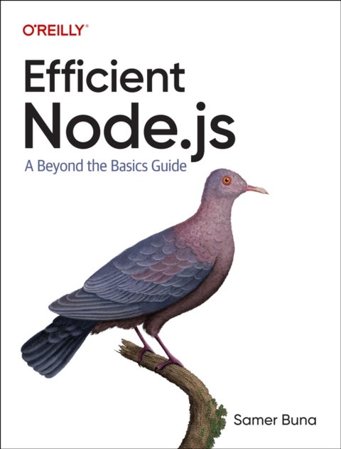 Efficient Node.js - A Beyond The Basics Guide