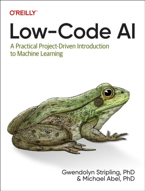 Low-Code AI - A Practical Project-Driven Introduction to Machine Learning