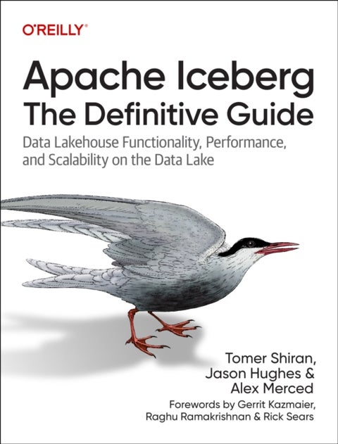 Apache Iceberg: The Definitive Guide - Data Lakehouse Functionality, Performance, and Scalability on the Data Lake