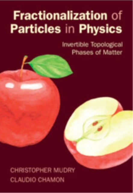 Fractionalization of Particles in Physics - Invertible Topological Phases of Matter