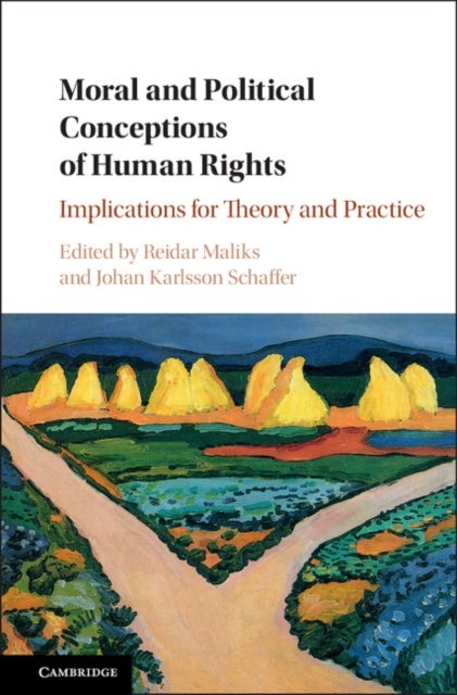 Moral and Political Conceptions of Human Rights - Implications for Theory and Practice