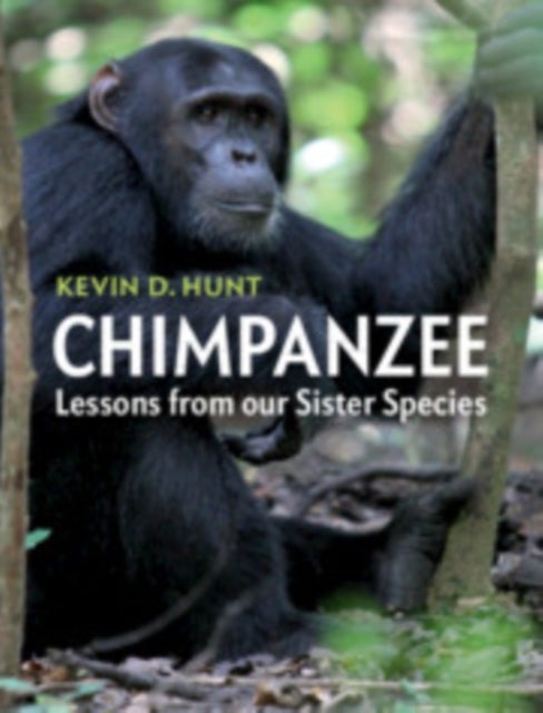 Chimpanzee - Lessons from our Sister Species