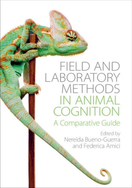 Bilde av Field And Laboratory Methods In Animal Cognition