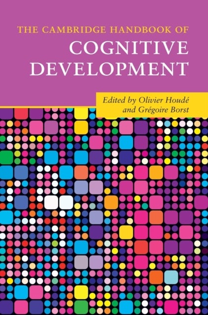 Bilde av The Cambridge Handbook Of Cognitive Development