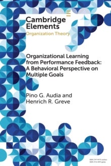 Organizational Learning from Performance Feedback: A Behavioral Perspective on Multiple Goals - A Multiple Goals Perspective