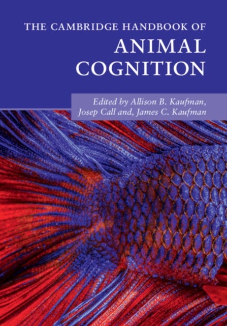 Bilde av The Cambridge Handbook Of Animal Cognition