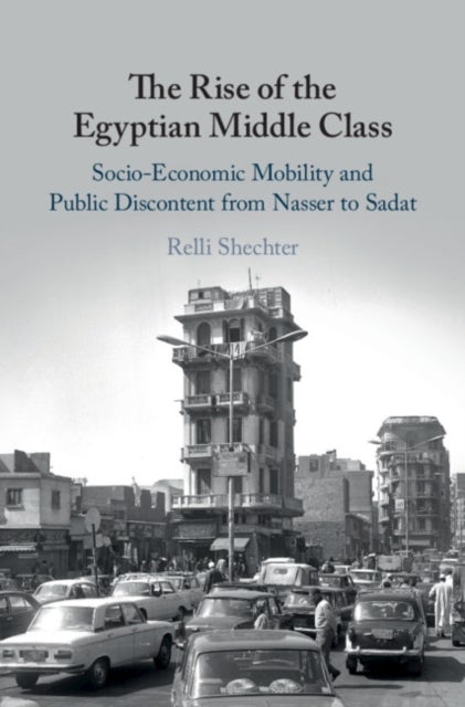 The Rise of the Egyptian Middle Class - Socio-economic Mobility and Public Discontent from Nasser to Sadat