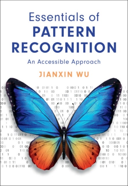 Essentials of Pattern Recognition - An Accessible Approach