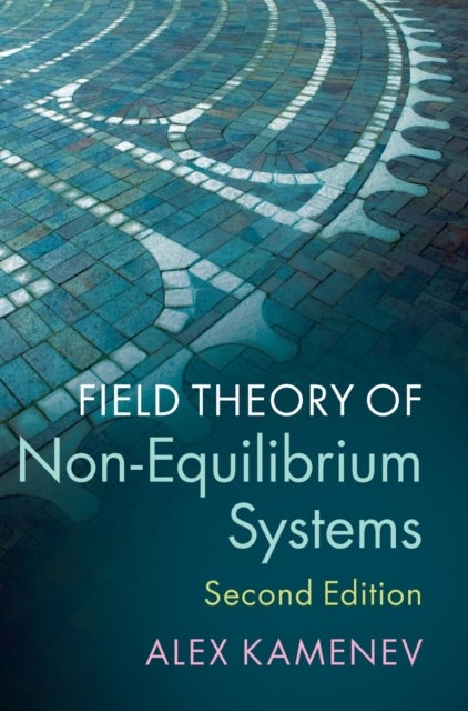 Bilde av Field Theory Of Non-equilibrium Systems Av Alex (university Of Minnesota) Kamenev