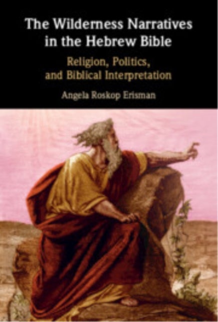 The Wilderness Narratives in the Hebrew Bible - Religion, Politics, and Biblical Interpretation