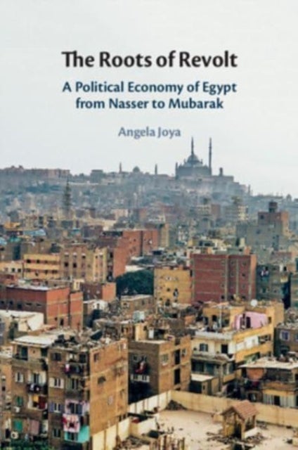 The Roots of Revolt - A Political Economy of Egypt from Nasser to Mubarak