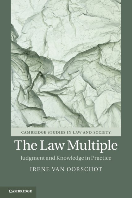 The Law Multiple - Judgment and Knowledge in Practice