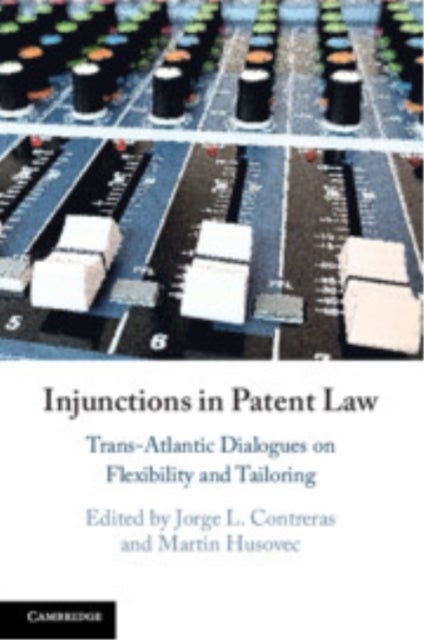 Injunctions in Patent Law - Trans-Atlantic Dialogues on Flexibility and Tailoring