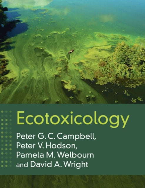 Bilde av Ecotoxicology Av Peter G. C. Campbell, Peter V. (queen&#039;s University Ontario) Hodson, Pamela M. (queen&#039;s University Ontario) Welbourn, David