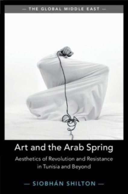 Art and the Arab Spring - Aesthetics of Revolution and Resistance in Tunisia and Beyond