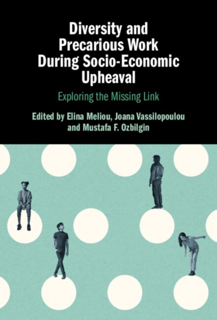 Diversity and Precarious Work During Socio-Economic Upheaval - Exploring the Missing Link