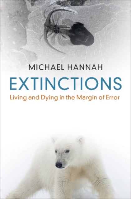 Extinctions - Living and Dying in the Margin of Error