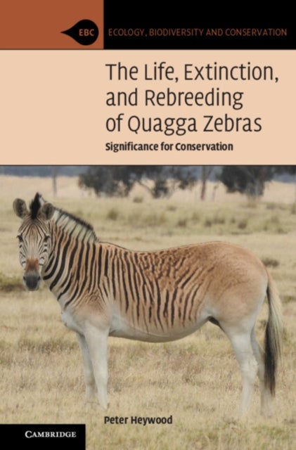 Bilde av The Life, Extinction, And Rebreeding Of Quagga Zebras Av Peter (brown University Rhode Island) Heywood