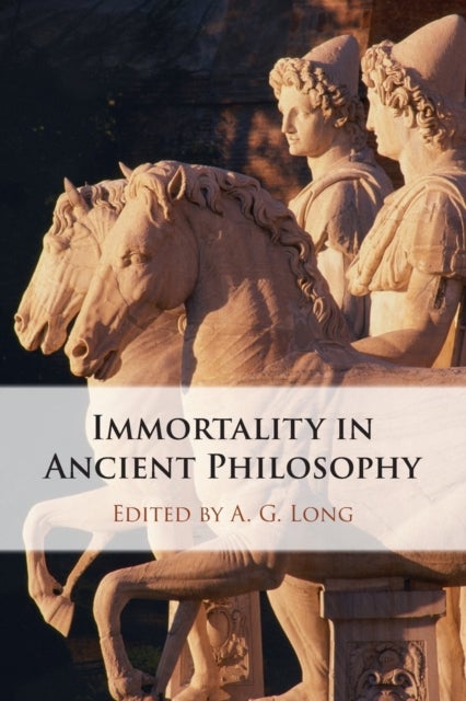 Bilde av Immortality In Ancient Philosophy