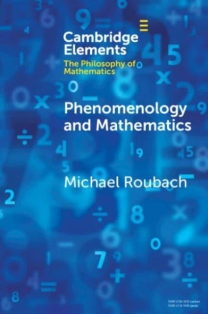 Bilde av Phenomenology And Mathematics Av Michael (hebrew University Of Jerusalem) Roubach