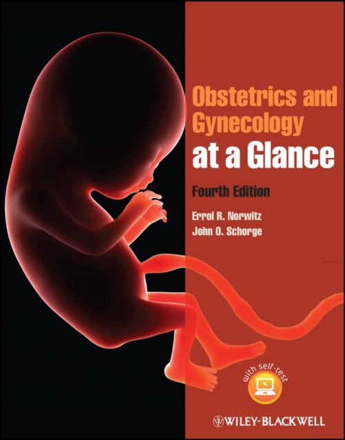 Bilde av Obstetrics And Gynecology At A Glance Av Errol R. (tufts University School Of Medicine) Norwitz, John O. (the University Of Texas) Schorge