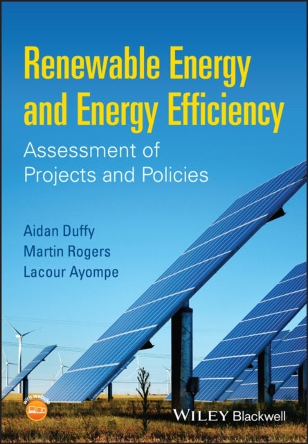 Bilde av Renewable Energy And Energy Efficiency Av Aidan (dublin Institute Of Technology) Duffy, Martin (international Energy Research Centre) Rogers, Lacour (