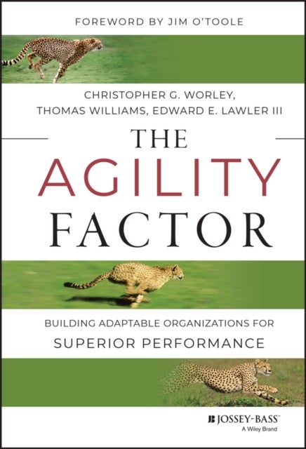 The Agility Factor - Building Adaptable Organizations for Superior Performance
