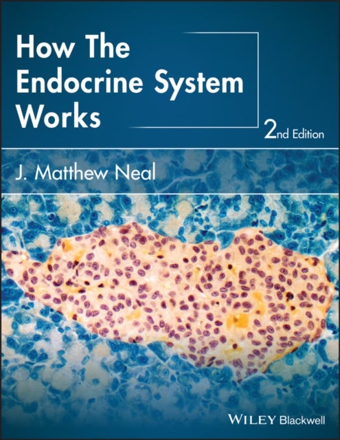 Bilde av How The Endocrine System Works Av J. Matthew (indiana University Health Ball Memorial Hospital And University School Of Medicine Muncie Center For Med