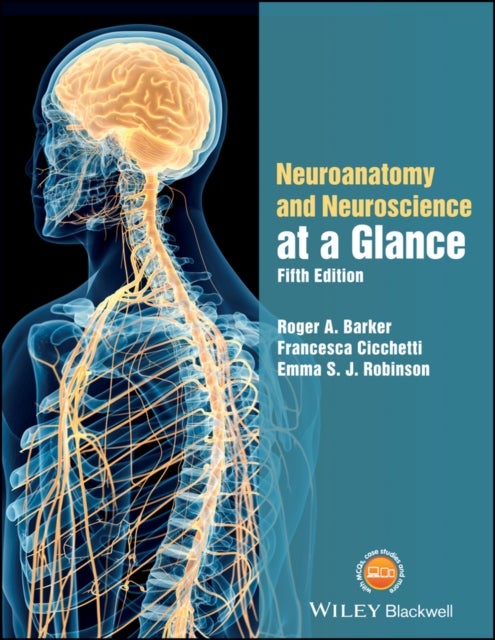 Bilde av Neuroanatomy And Neuroscience At A Glance Av Roger A. (addenbrooke&#039;s Hospital And Cambridge Medical School) Barker, Francesca (centre De Recherch